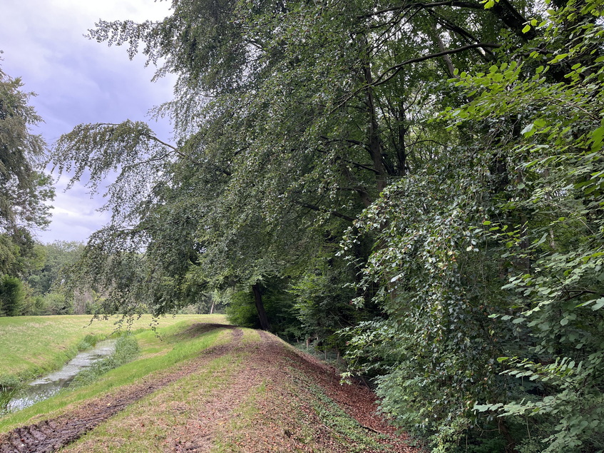 Coulisselandschap in de Achterhoek